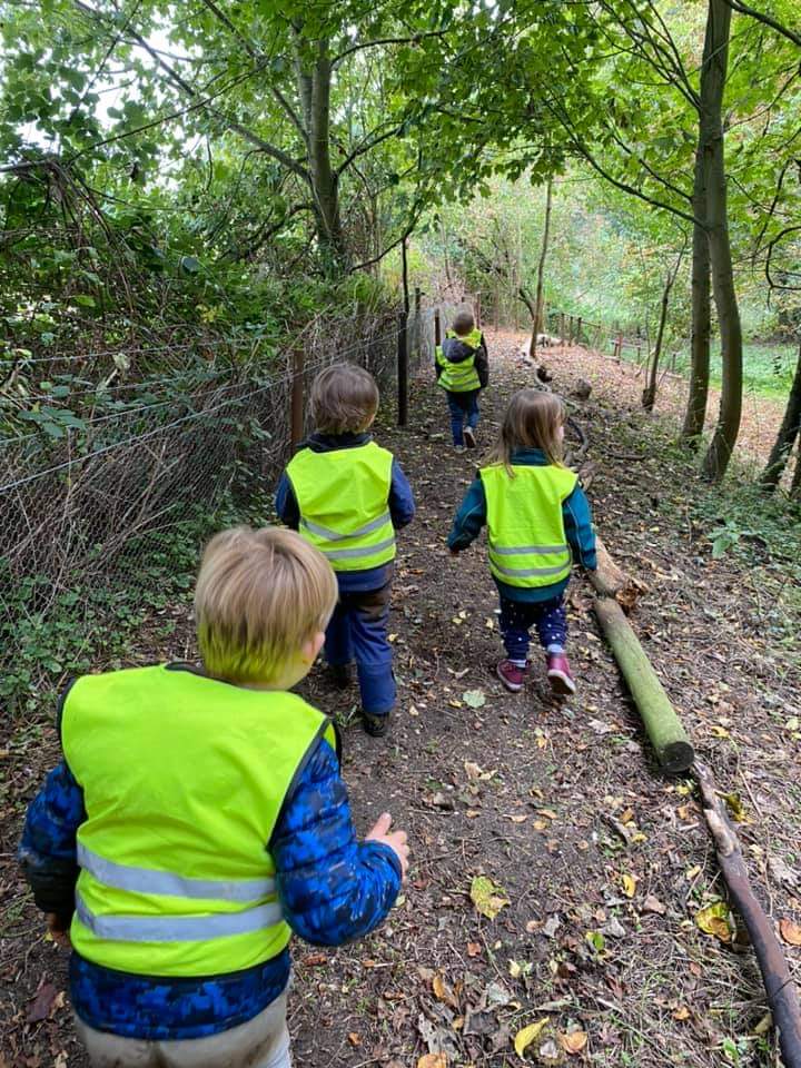 Forest schools